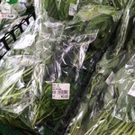 フレッシュ・クラブ - しそとか エゴマとかだいたい100円です