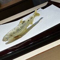 天冨良 銀座 よこ田 梅田別邸 - 