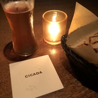 CICADA - 