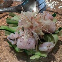 春秋ユラリ 恵比寿 - 