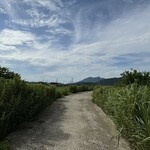 そば処 砂武縞 - この道はいつか来た道^_^