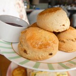 Swan - プレーンとレーズンのスコーン