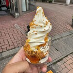 Sugi Yohoen Karuizawa Ten - 