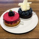 ラヴニュー - マジェンタ　コンパシオン