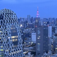 星空の中へ - 