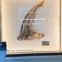 筑紫樓 銀座店 - 