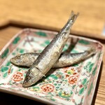 日本料理FUJI - ■活〆鰯の唐揚げ
      「プロフェッショナル」の時は「奇跡の２尾」で、前田さんをして「別物」と言わしめた鰯。
      それがこうしていただけるようになるとは、漁師さんに感謝です。
      身のふくらみは味のふくらみですね♪