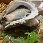 日本料理 きた山 - 