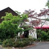 木々珈琲舎 - お店外観