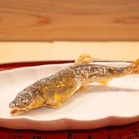 道後 海舟 -  道後 海舟 -