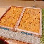 御料理 まつ山 - 萩の赤ウニ