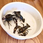 柚木元 - ザリガニです。