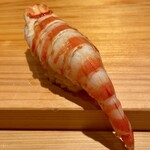 鮨 さかい - 車海老(熊本県天草産)