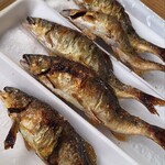 滋賀県南郷水産センター - 