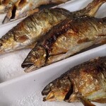 滋賀県南郷水産センター - 