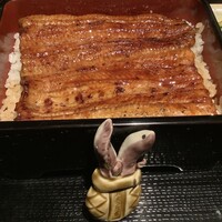うなぎ 目白ぞろ芽 - 