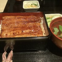うなぎ 目白ぞろ芽 - 