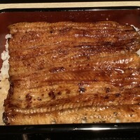 うなぎ 目白ぞろ芽 - 