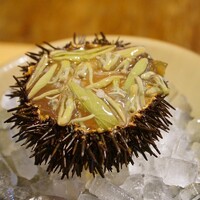 HAGI - 