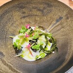 Imparfait - 富山産ホタルイカ 冷奴風 貝のジュレを添えて