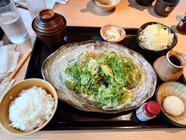 Katsu and Katsu Shikinzan Koen Ten photo 2