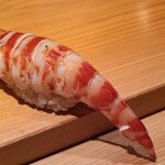 鮨 さかい - ⑲車海老(熊本県天草産)
      産卵も旬も初夏～初秋、
      茹で立てをお弟子さんが熱々に耐えて剥きます
      車海老はぷりぷり、温かなシャリがググッと沈み込み、口に入れると華やかな甘みと旨味が押し寄せます