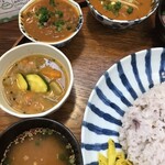 月と亀 - 下から、ラッサム、薬膳カレー、ポークビンダルー、チキンカレー