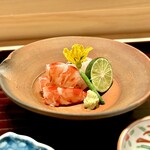 多仁本 - 明石の真鯛と車海老のお造り　