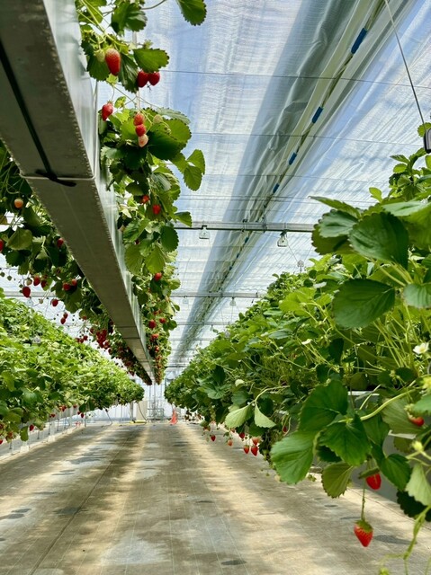 ケロケロの杜 仙台空港店 | 宮城県名取市の和食レストラン