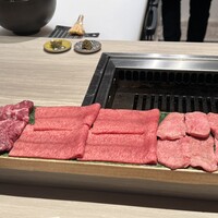 Beef Laboratory - 