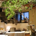 ビストロヌフ - 