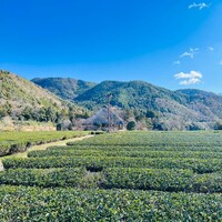 伊勢宮川の里 鄙茅 - 