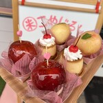 코메지루시+폰포코