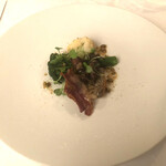 マダム・トキ - 