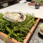 Installation Table ENSO L'asymetrie du calme - 岩牡蠣