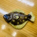 寿しゆう - ヒラメの箸置き