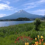 ムースヒルズバーガー - 河口湖⑧