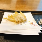 創作天ぷらと酒とワイン ぷらりん - 