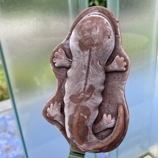 かいじゅうカフェ_1