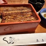 川魚料理 魚庄 本店 - 鰻重　特