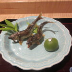 弥さしさ 大島 - 焼き物