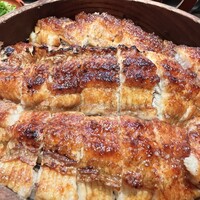 炭焼 うな富士 有楽町店 - 