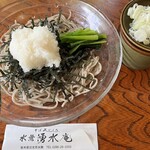 そば処 水無湧水庵 - 