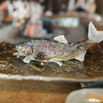 柳家 - 郡上の鮎