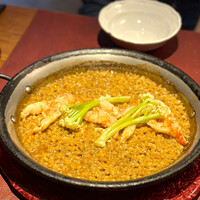 Potoro - 
