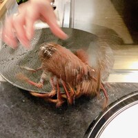 銀座 和牛鉄板焼 USHIGAMI - 