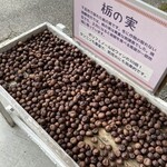 千寿堂 - これが栃の実。