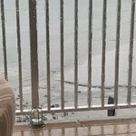 THE HARBOR TERRACE Restaurant - 雨が酷すぎる(^^;