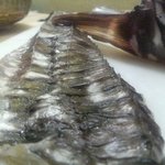 下総屋 - 八角のウロコは鎧みたいでした