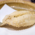 うを徳 - 2024.6 愛知産鱚